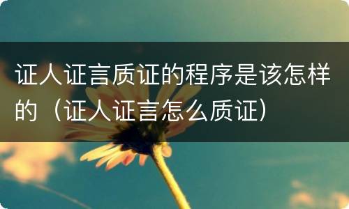 证人证言质证的程序是该怎样的(证人证言怎么质证)
