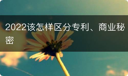 2022该怎样区分专利、商业秘密