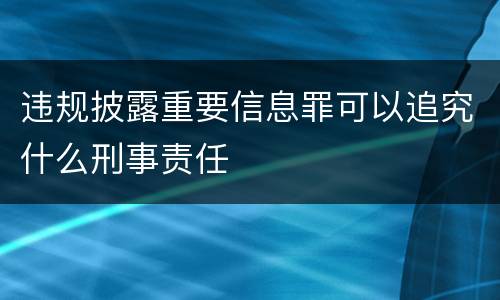 违规披露重要信息罪可以追究什么刑事责任