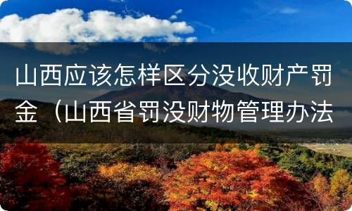 山西应该怎样区分没收财产罚金（山西省罚没财物管理办法）