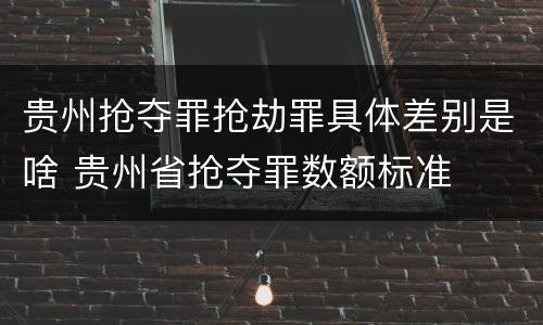 贵州抢夺罪抢劫罪具体差别是啥 贵州省抢夺罪数额标准