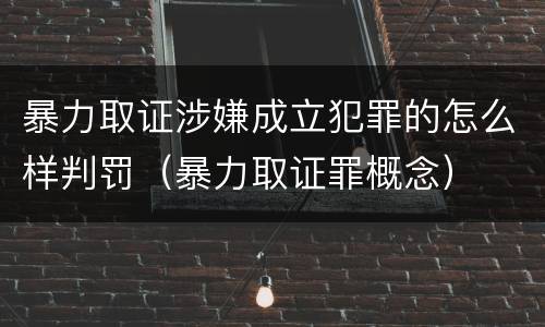 暴力取证涉嫌成立犯罪的怎么样判罚（暴力取证罪概念）