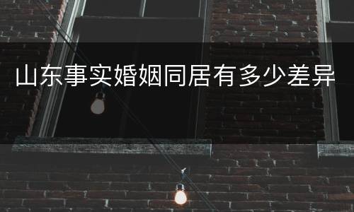 山东事实婚姻同居有多少差异