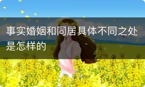 事实婚姻和同居具体不同之处是怎样的
