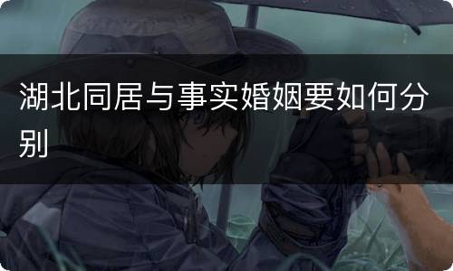 湖北同居与事实婚姻要如何分别