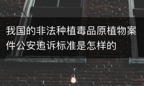 我国的非法种植毒品原植物案件公安追诉标准是怎样的