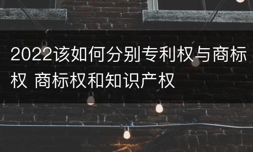2022该如何分别专利权与商标权 商标权和知识产权