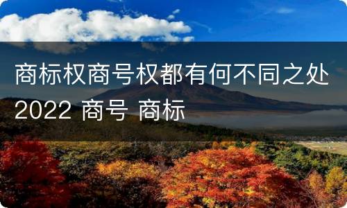 商标权商号权都有何不同之处2022 商号 商标