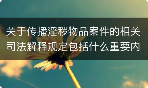 关于传播淫秽物品案件的相关司法解释规定包括什么重要内容