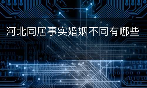 河北同居事实婚姻不同有哪些