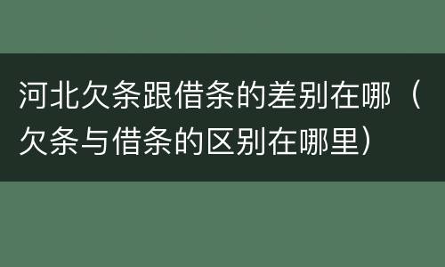 河北欠条跟借条的差别在哪（欠条与借条的区别在哪里）
