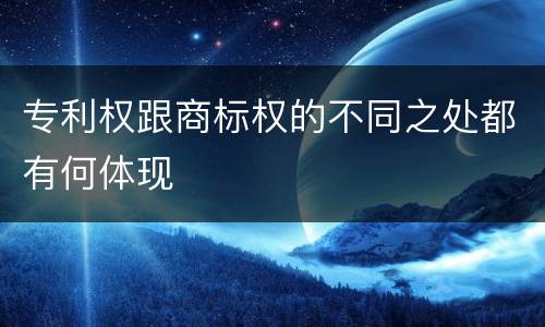 专利权跟商标权的不同之处都有何体现