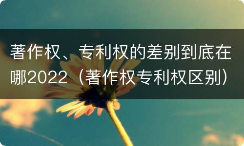 著作权、专利权的差别到底在哪2022（著作权专利权区别）