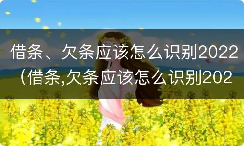 借条、欠条应该怎么识别2022（借条,欠条应该怎么识别2022年真假）