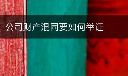 公司财产混同要如何举证