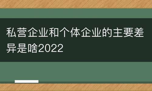 私营企业和个体企业的主要差异是啥2022