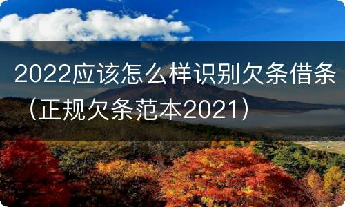 2022应该怎么样识别欠条借条（正规欠条范本2021）