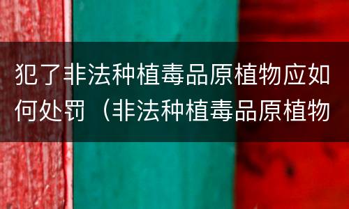 犯了非法种植毒品原植物应如何处罚（非法种植毒品原植物罪是什么犯罪类型）