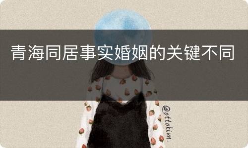 青海同居事实婚姻的关键不同