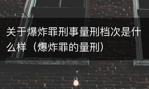 关于爆炸罪刑事量刑档次是什么样（爆炸罪的量刑）