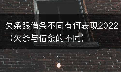 欠条跟借条不同有何表现2022（欠条与借条的不同）