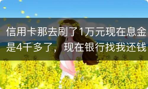 信用卡那去刷了1万元现在息金是4千多了，现在银行找我还钱，要怎样能够诉讼他，