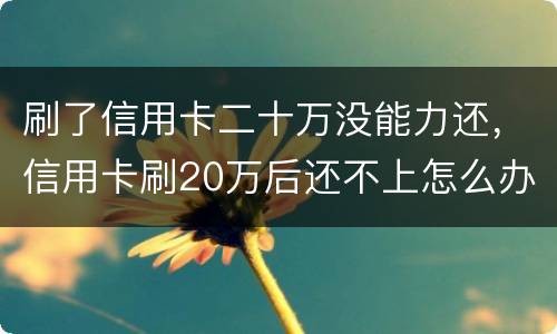 刷了信用卡二十万没能力还，信用卡刷20万后还不上怎么办
