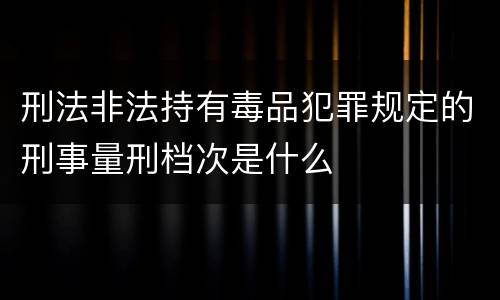 刑法非法持有毒品犯罪规定的刑事量刑档次是什么