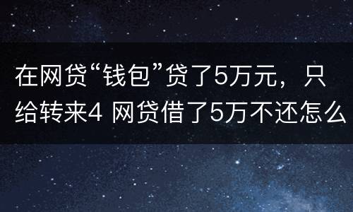 在网贷“钱包”贷了5万元，只给转来4 网贷借了5万不还怎么办