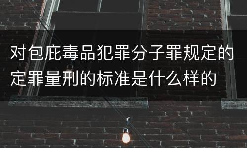对包庇毒品犯罪分子罪规定的定罪量刑的标准是什么样的