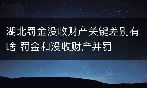 湖北罚金没收财产关键差别有啥 罚金和没收财产并罚