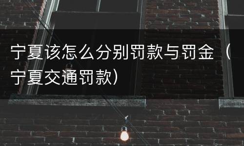 宁夏该怎么分别罚款与罚金（宁夏交通罚款）