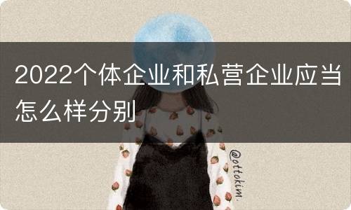 2022个体企业和私营企业应当怎么样分别