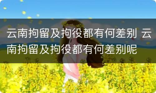 云南拘留及拘役都有何差别 云南拘留及拘役都有何差别呢