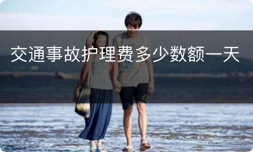 交通事故护理费多少数额一天