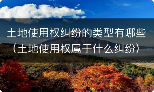 土地使用权纠纷的类型有哪些（土地使用权属于什么纠纷）