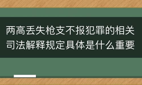 两高丢失枪支不报犯罪的相关司法解释规定具体是什么重要内容