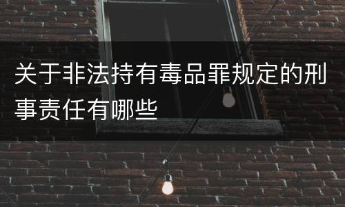 关于非法持有毒品罪规定的刑事责任有哪些
