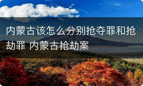 内蒙古该怎么分别抢夺罪和抢劫罪 内蒙古抢劫案