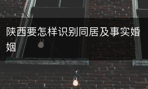 陕西要怎样识别同居及事实婚姻