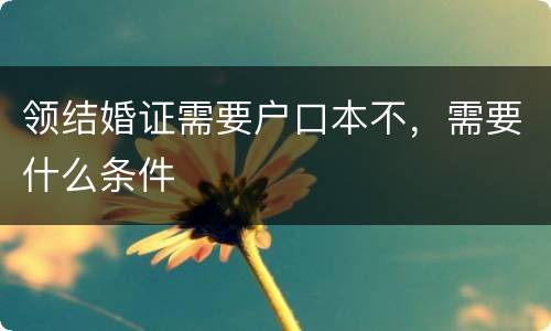 领结婚证需要户口本不，需要什么条件