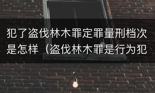 犯了盗伐林木罪定罪量刑档次是怎样（盗伐林木罪是行为犯吗）