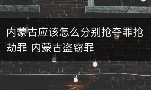 内蒙古应该怎么分别抢夺罪抢劫罪 内蒙古盗窃罪