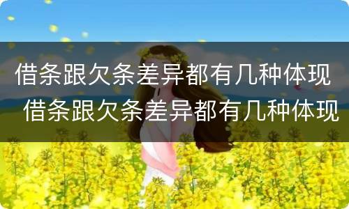 借条跟欠条差异都有几种体现 借条跟欠条差异都有几种体现法律效力