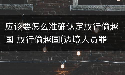 应该要怎么准确认定放行偷越国 放行偷越国(边境人员罪