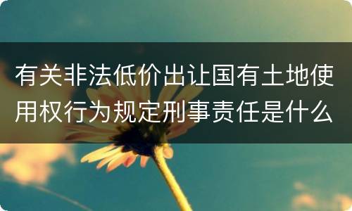 有关非法低价出让国有土地使用权行为规定刑事责任是什么