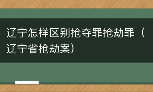 辽宁怎样区别抢夺罪抢劫罪（辽宁省抢劫案）