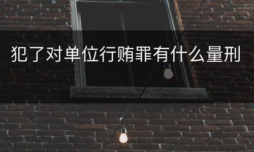 犯了对单位行贿罪有什么量刑