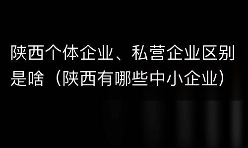 陕西个体企业、私营企业区别是啥（陕西有哪些中小企业）