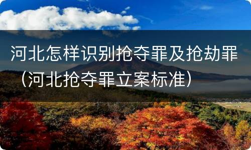 河北怎样识别抢夺罪及抢劫罪（河北抢夺罪立案标准）